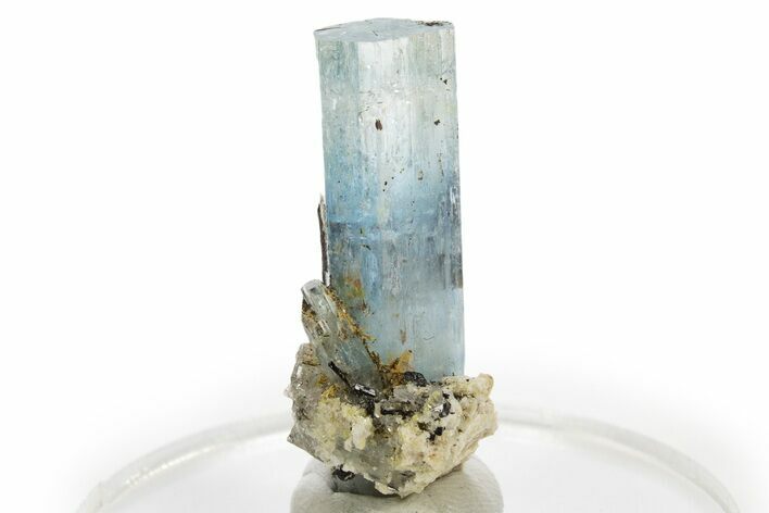Gemmy Aquamarine Crystals with Schorl and Feldspar - Namibia #337064